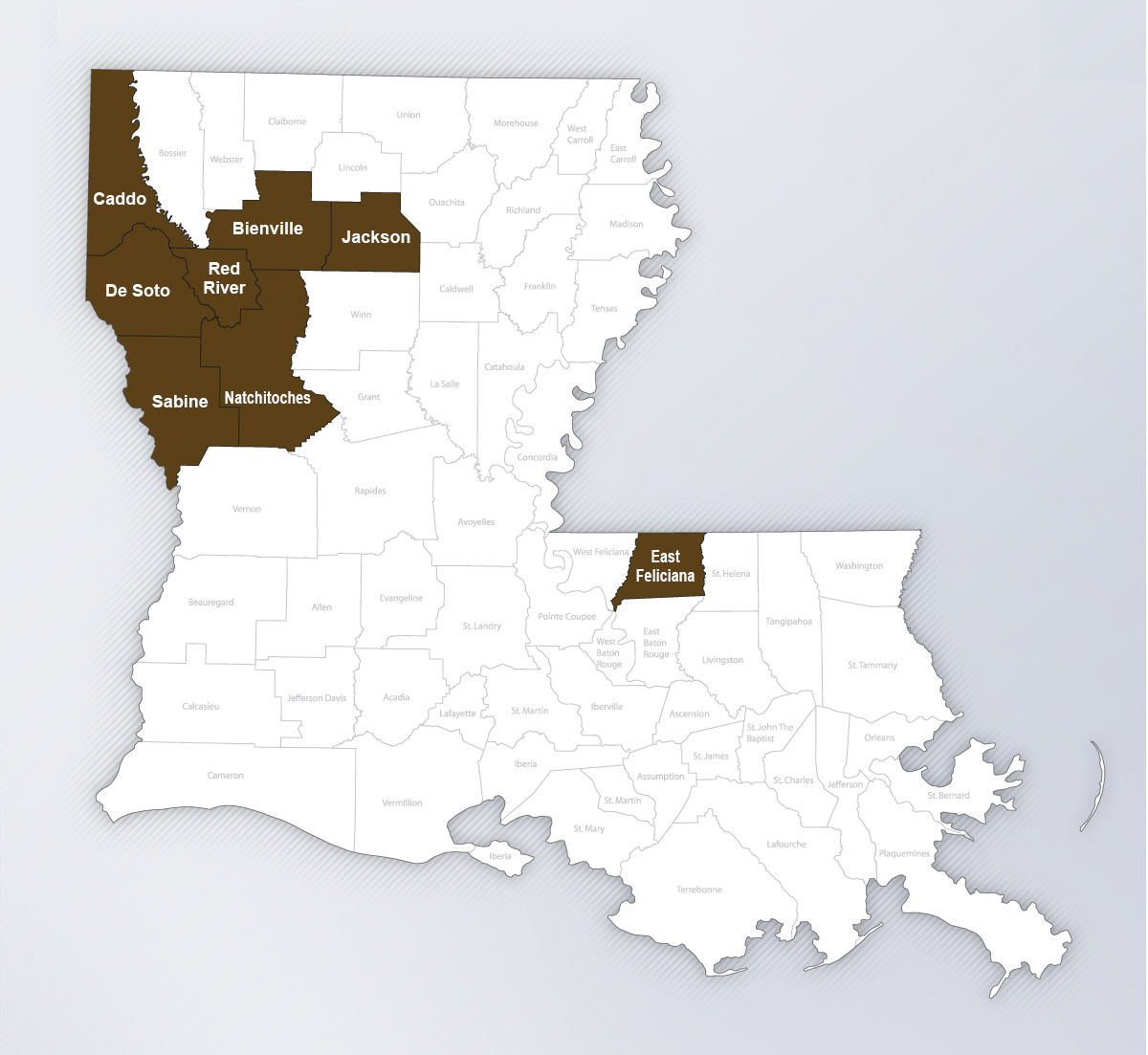 louisiana operations counties