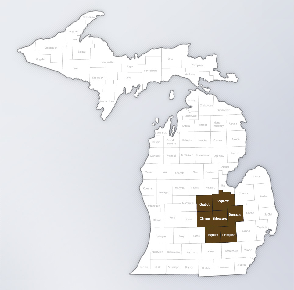 michigan operations counties
